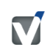 Vsolution Management Consultants logo